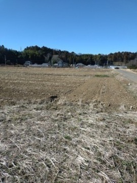 青地写真_コピー_コピー_コピー